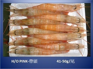 冷凍粗加工水產(chǎn)品-臺(tái)灣海捕 中蝦 2012新貨-冷凍粗加工水產(chǎn)品盡在阿里巴巴-煙.