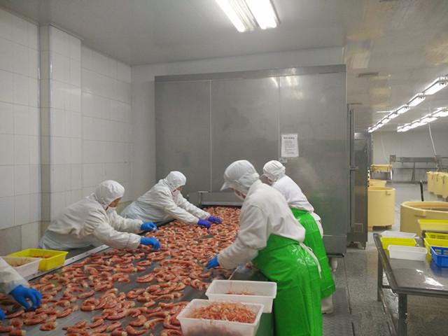 蝦類(lèi)速凍加工生產(chǎn)線 海產(chǎn)品加工設(shè)備 蝦類(lèi)加工設(shè)備