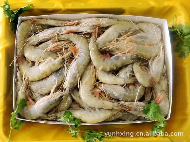 各種海鮮水產(chǎn) 活龍蝦 新鮮水產(chǎn)品】?jī)r(jià)格,廠家,圖片,冷凍水產(chǎn)品,乳山市