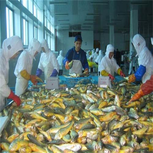 浙江寧波速凍庫(kù) 水產(chǎn)品加工低溫冷庫(kù) 拼裝小型冷庫(kù) 土建冷.