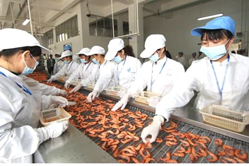 其中指出水產(chǎn)品加工趨勢(shì)有 行業(yè)資訊 市場(chǎng)分析 >> 中國(guó)水產(chǎn)加工