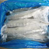 萊州鲅魚(yú)_萊州鲅魚(yú)批發(fā)_萊州鲅魚(yú)供應(yīng)_阿里巴巴