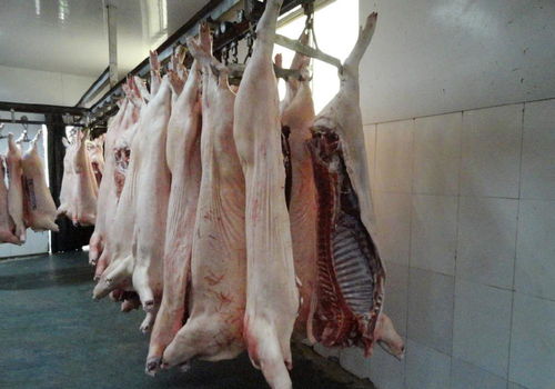 豬肉 廠(chǎng)家優(yōu)質(zhì)豬肉,白條 白條豬,冷凍白條豬,冷凍肉類(lèi)
