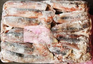 批發(fā)冷凍粗加工水產(chǎn)品 冷凍魷魚(yú)