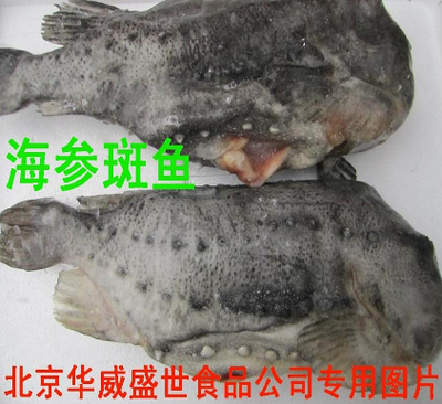 冷凍粗加工水產(chǎn)品價格_冷凍粗加工水產(chǎn)品批發(fā)_冷凍粗加工水產(chǎn)品供應(yīng)商-到搜了網(wǎng)冷凍粗加工水產(chǎn)品商機頻道_第14頁