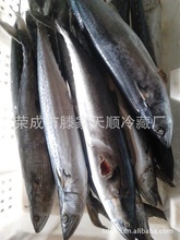 小包裝海產(chǎn)品_冷凍粗加工水產(chǎn)品_小包裝價格_優(yōu)質(zhì)小包裝批發(fā)/采購 