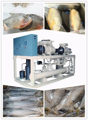 江西鴻宇制冷HYSD2000水產(chǎn)品速凍機金槍魚速凍水產(chǎn)品速凍機圖片_高清圖_細節(jié)圖