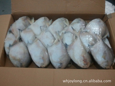 冷凍粗加工水產品-供應大量出口品質/鯧魚-冷凍粗加工水產品盡在阿里巴巴-威海市久.