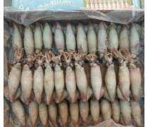 冷凍水產品魷魚企業黃頁