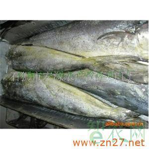 批發冷凍鬼頭刀魚 飛虎魚_石獅市宏源水產冷凍加工廠_智農分級_知e農網(智農網)