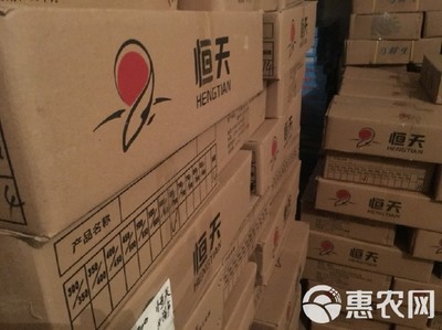 冷凍鱸魚 速鮮白蕉海鱸冰凍花鱸真鱸海鱸工廠原產(chǎn)地發(fā)貨
