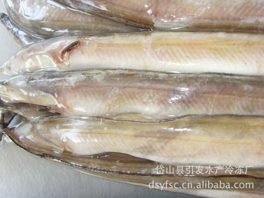 【圖】凍鰻魚/凍東海海鰻/凍小鰻_冷凍粗加工水產(chǎn)品_列表網(wǎng)