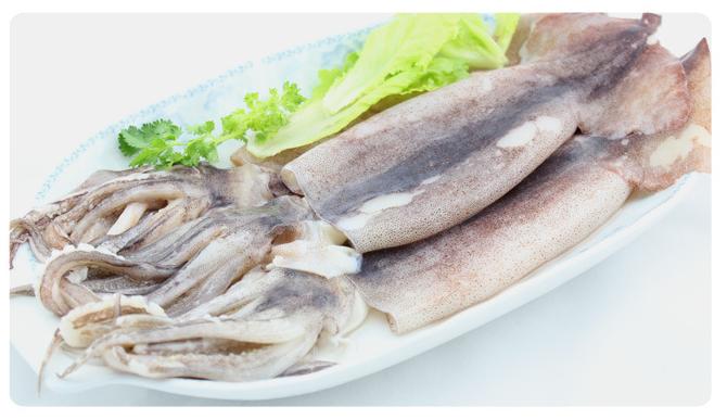 水產(chǎn)魷魚 冷凍粗加工水產(chǎn)品