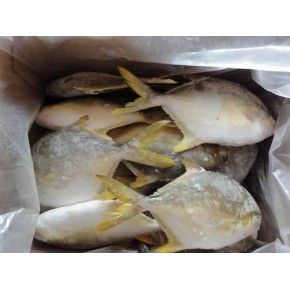 【廣州冷凍粗加工水產(chǎn)品】_廣州冷凍粗加工水產(chǎn)品價格_廣州冷凍粗加工水產(chǎn)品廠家