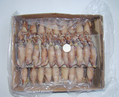 冷凍粗加工水產品-長期供應 冷凍粗加工水產品 熟凍糕魷魚 大量批發-冷凍粗加工水.