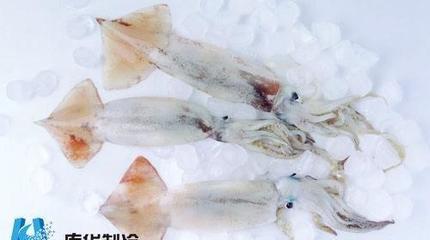 海鮮冷庫建設水產品貯藏