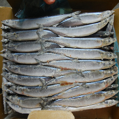 冷凍粗加工水產品-我司現有秋刀魚出售,有需要的客戶請與我們聯系-冷凍粗加工水產品.