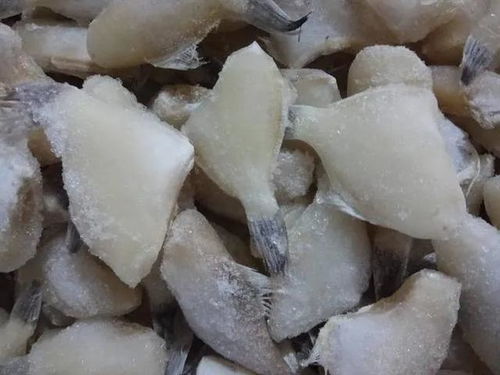 這種長(zhǎng)得像老鼠的魚,憑什么風(fēng)靡川渝