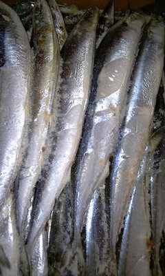 冷凍粗加工水產(chǎn)品-我司現(xiàn)有秋刀魚出售,有需要的客戶請(qǐng)與我們聯(lián)系-冷凍粗加工水產(chǎn)品.