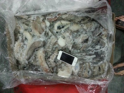 冷凍粗加工水產(chǎn)品-冷凍 魷魚腿 質(zhì)量好102202海產(chǎn)品-冷凍粗加工.