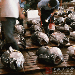 煙臺檢驗檢疫局扶持轄區(qū)遠(yuǎn)洋自捕水產(chǎn)品產(chǎn)業(yè)