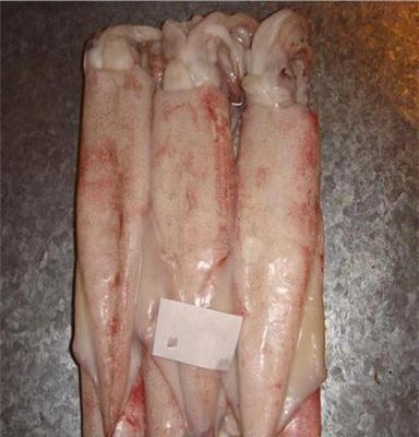 中港 水產(chǎn)品 中國紅魷魚 冷凍粗加工水產(chǎn)品