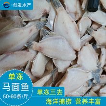 干馬面魚