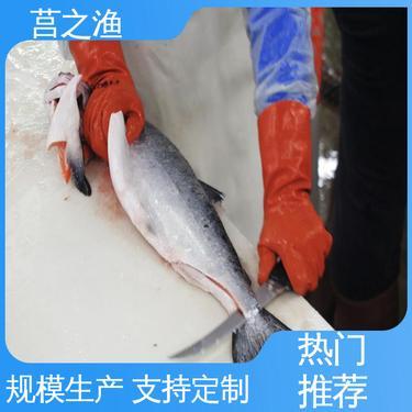 鮭魚多少錢一斤市場價格