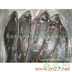 供應冷凍粗加工水產品美國進口銀鯧魚_大連市水產批發市場滄海笑凍品行_智農分級_知e農網(智農網)