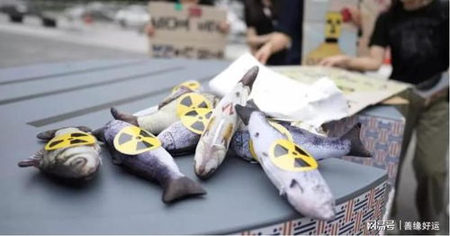 香港禁日本水產(chǎn)生效 市民搶吃日本魚生 最后晚餐