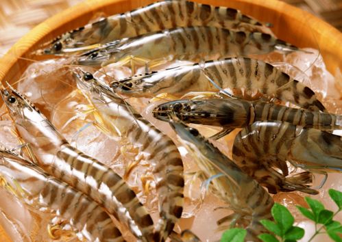 購買 加工冷鏈?zhǔn)称窌r(shí)應(yīng)注意什么 專家回答