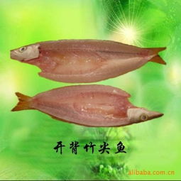 廠家批發(fā) 竹尖魚 冷凍粗加工水產(chǎn)品 海產(chǎn)品 海南價(jià)格信息
