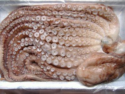 【冷凍鱈魚 銀魚 章魚 鯧魚 】價格,廠家,冷凍粗加工水產品