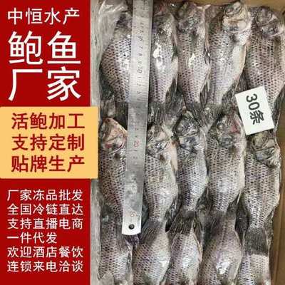 尼羅羅非魚產地在哪?尼羅羅非魚和羅非魚有什么區別?